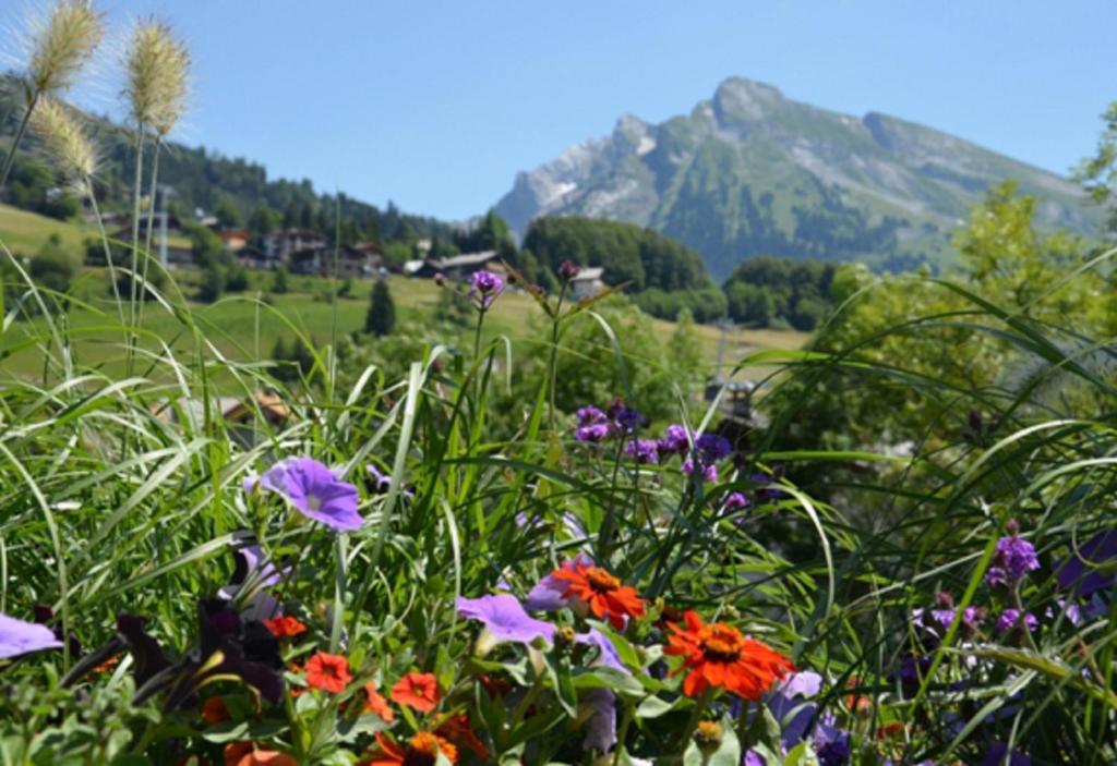 Hotel La Montagne La Clusaz Bagian luar foto